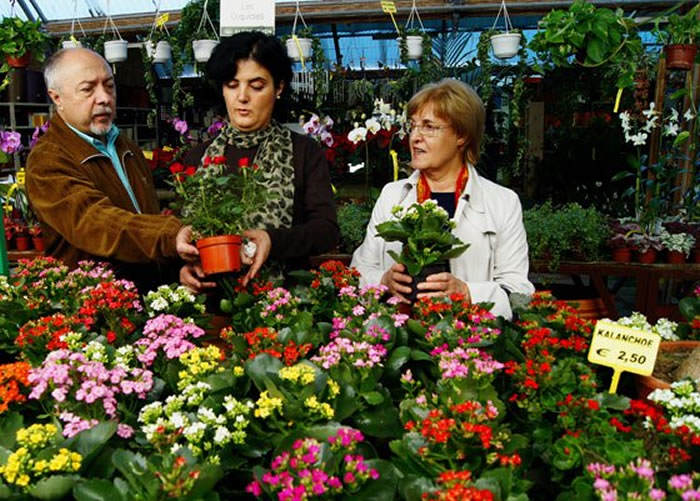 centros de jardineria