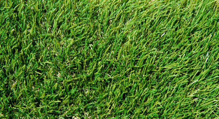 Calendario del jardín en Junio | Revista de Flores, Plantas, Jardinería