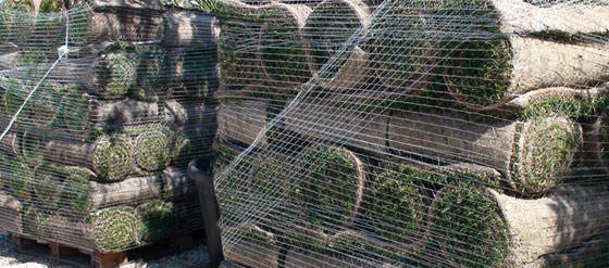 Tepes para monumentos falleros