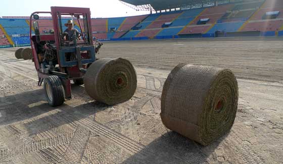 Césped para campos deportivos