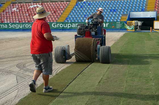 Césped para campos deportivos