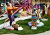 Césped para las Fallas
