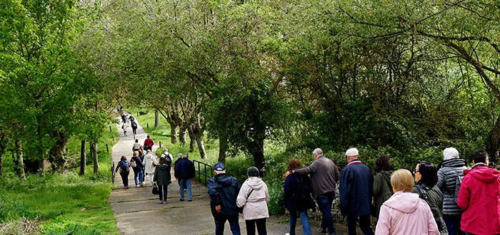 Ciudadanos paseando por un parque