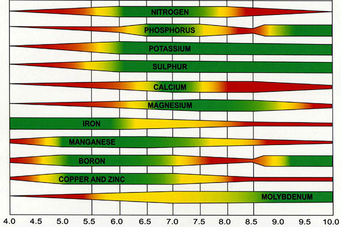 Clasificación del pH