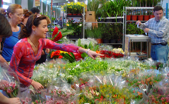 Comercio de flores