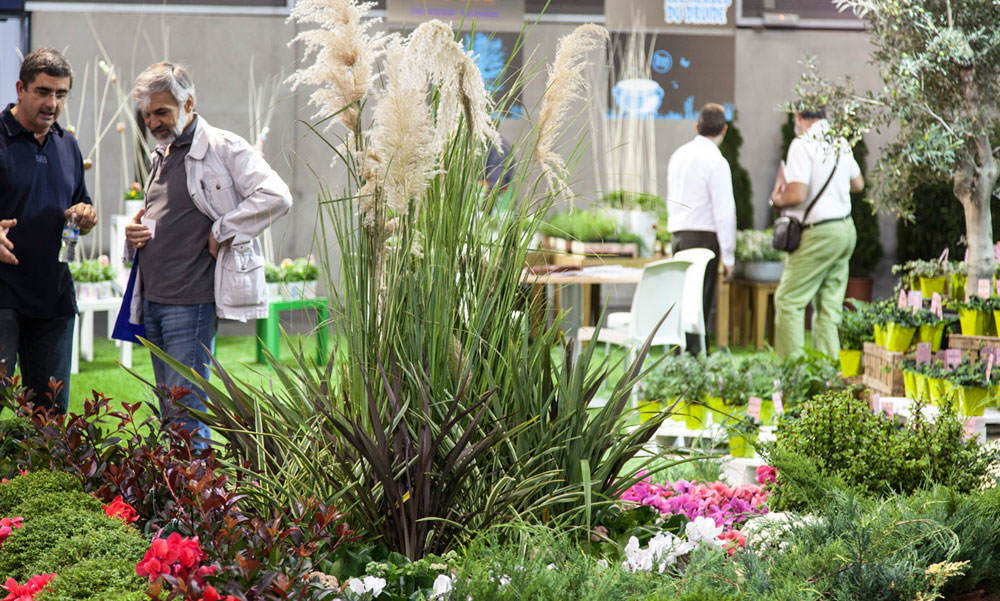 Comercio del sector ornamental