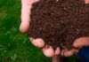 Cómo hacer compost de jardín