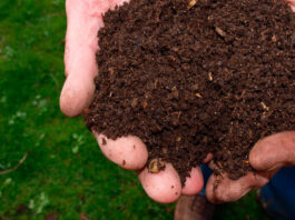 Cómo hacer compost de jardín