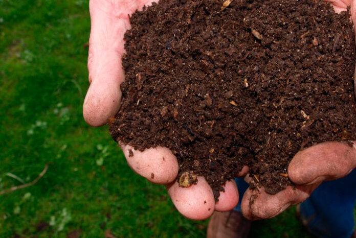 Cómo hacer compost de jardín