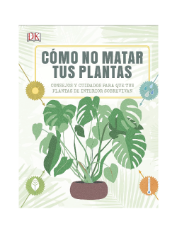 como-no-matar-a-tus-plantas
