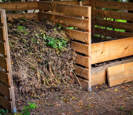 Compostador casero