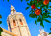 III Congreso Mundial de BioAgricultura