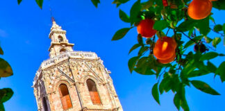 III Congreso Mundial de BioAgricultura