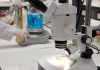 Materias primas para fertilizantes