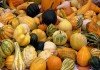 Calabazas decorativas
