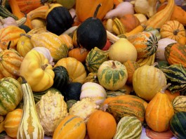 Calabazas decorativas