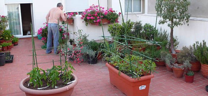 Jardineras y macetas  Jardinería TOT en U en Valencia