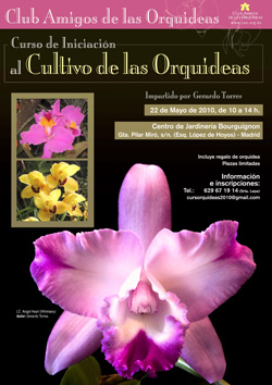 Poster del Curso de iniciación al cultivo de las orquídeas