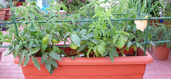 Jardineras y macetas  Jardinería TOT en U en Valencia