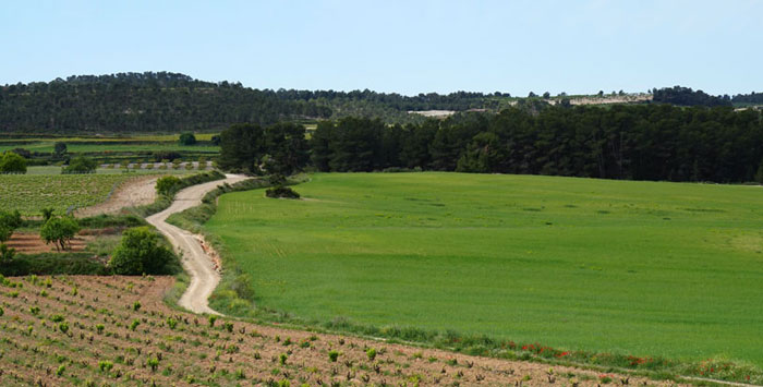 Industrias de fertilizantes para una agricultura ecológica