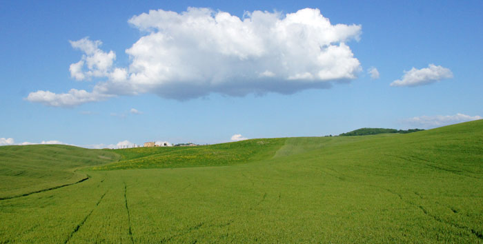 Fabricantes de fertilizantes para una agricultura ecológica