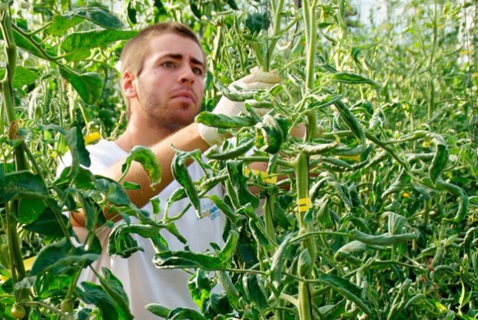 Expertos en agronutrientes y bioestimulantes agrícolas