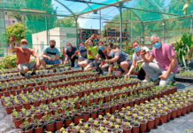 Curso de viverismo profesional