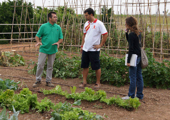 Cursos sobre el huerto urbano