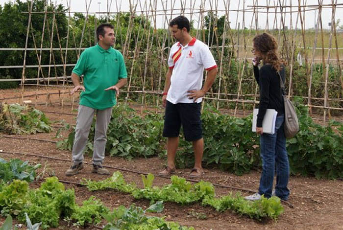 cursos huerto urbano