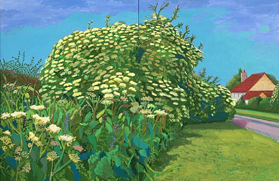 David Hockney, Elderflower Blossom