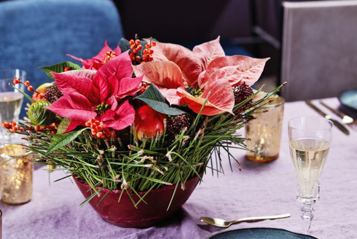 Decoraciones con poinsettia