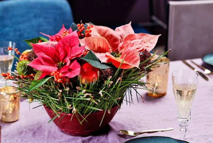 Decoraciones con poinsettia
