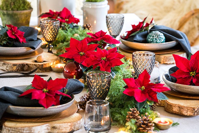 Decoraciones de mesa de estilo natural clásico con poinsettias