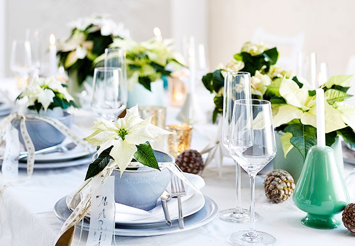 Decoraciones de mesa de estilo elegante con poinsettias