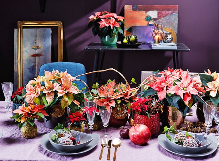 Decoraciones de mesa de estilo opulento con poinsettias