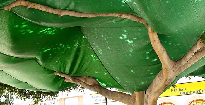 Detalle de mallas agrícolas para arbolado