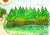 21 de marzo, Día Internacional de los Bosques