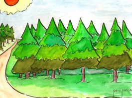 21 de marzo, Día Internacional de los Bosques