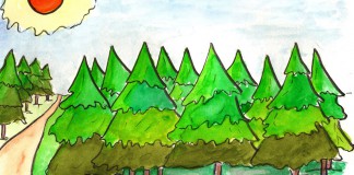 21 de marzo, Día Internacional de los Bosques
