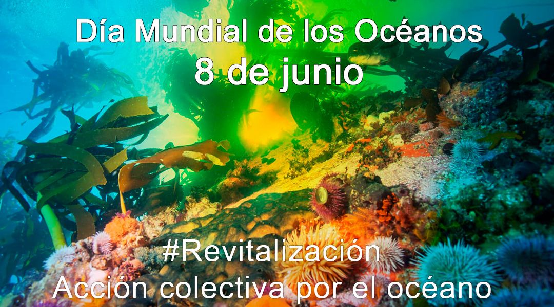 Día Mundial de Los Océanos