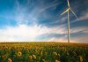Día Internacional contra el Cambio Climático