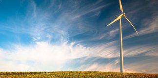 Día Internacional contra el Cambio Climático