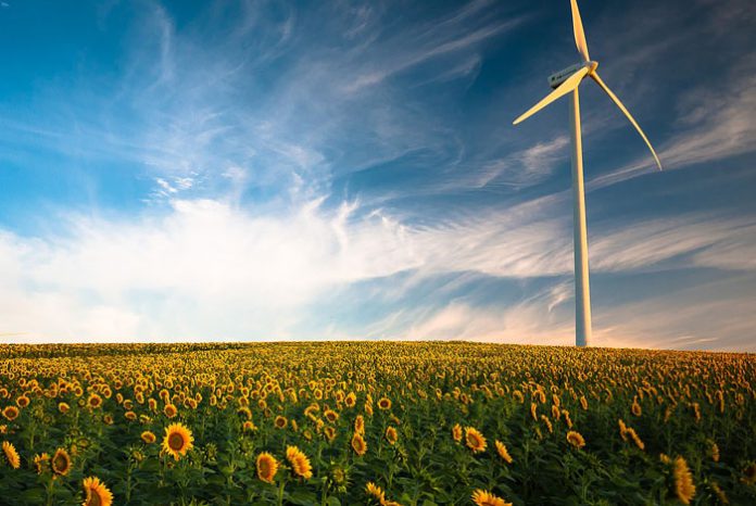 Día Internacional contra el Cambio Climático