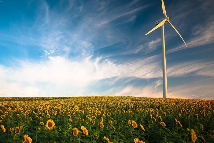 Día Internacional contra el Cambio Climático