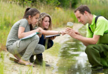 Día Mundial de la Educación Ambiental
