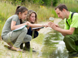 Día Mundial de la Educación Ambiental
