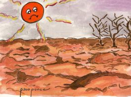Día Mundial de Lucha contra la Desertificación y la Sequía