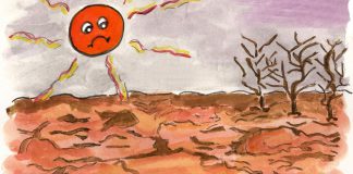 Día Mundial de Lucha contra la Desertificación y la Sequía