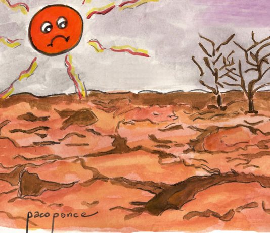 Día Mundial de Lucha contra la Desertificación y la Sequía