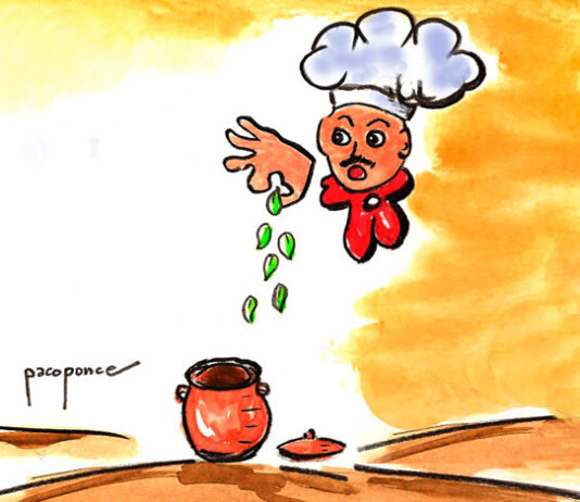 Dibujo de plantas culinarias